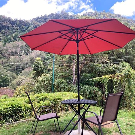 Los Lagos Lodge San Gerardo de Dota Eksteriør billede