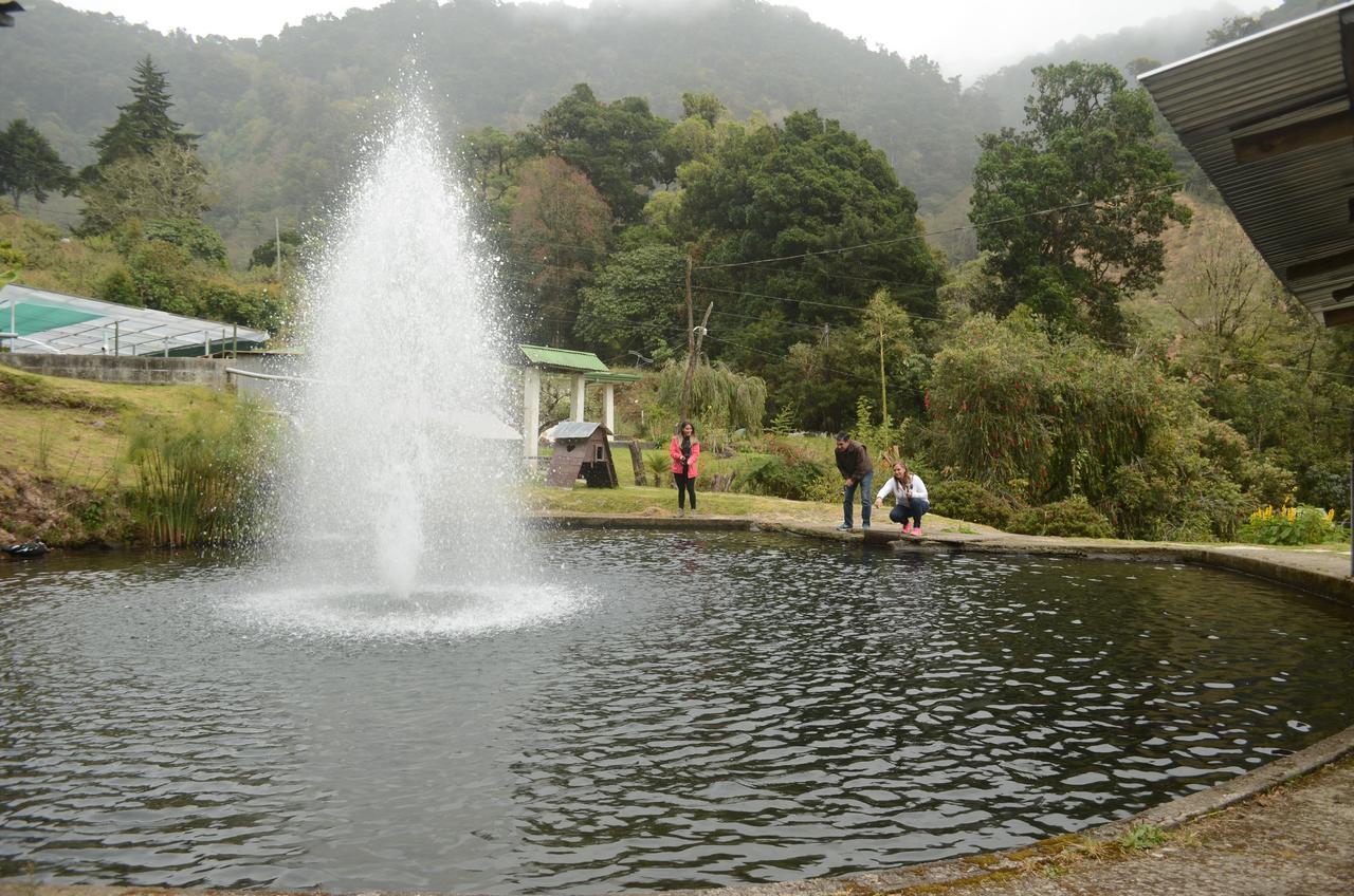 Los Lagos Lodge San Gerardo de Dota Eksteriør billede