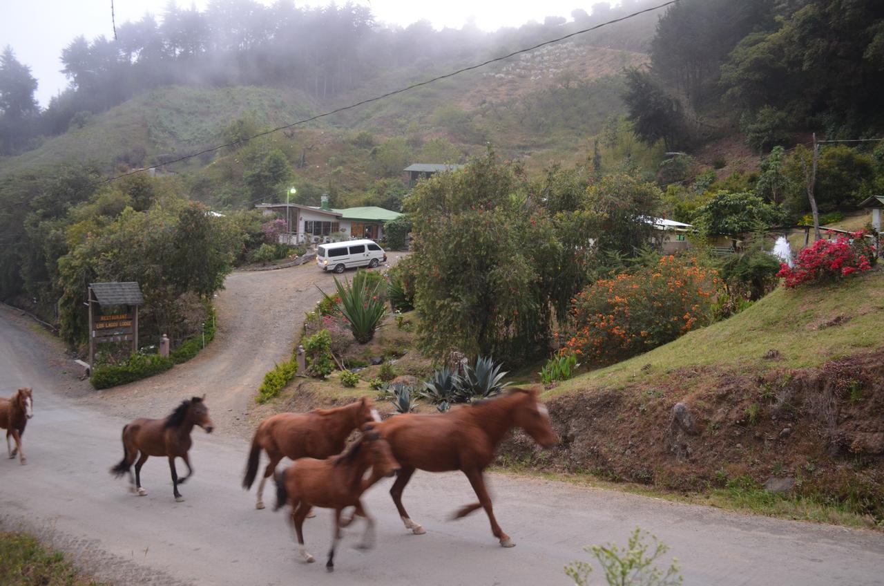 Los Lagos Lodge San Gerardo de Dota Eksteriør billede