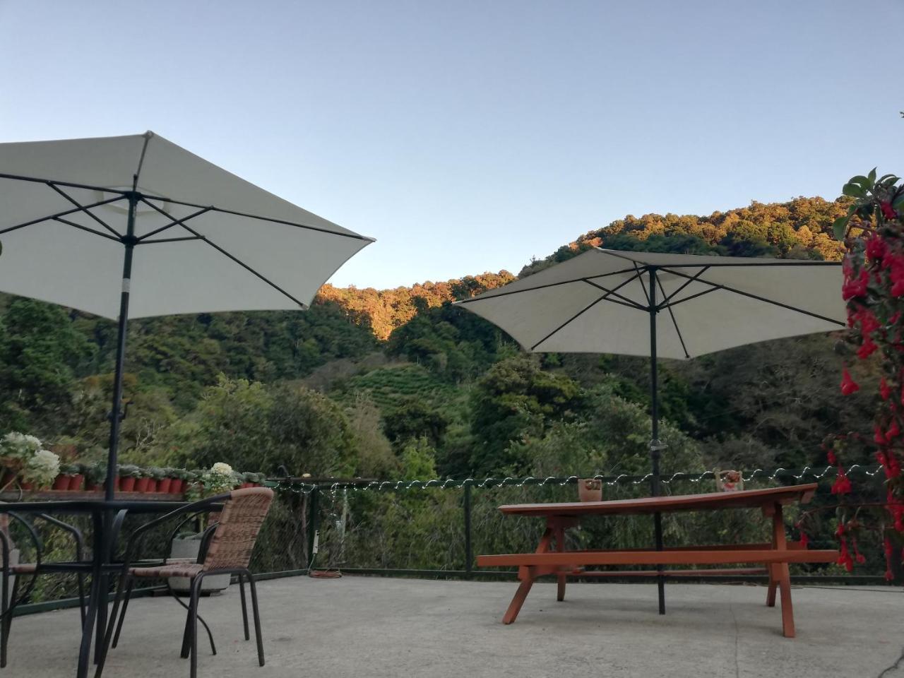 Los Lagos Lodge San Gerardo de Dota Eksteriør billede